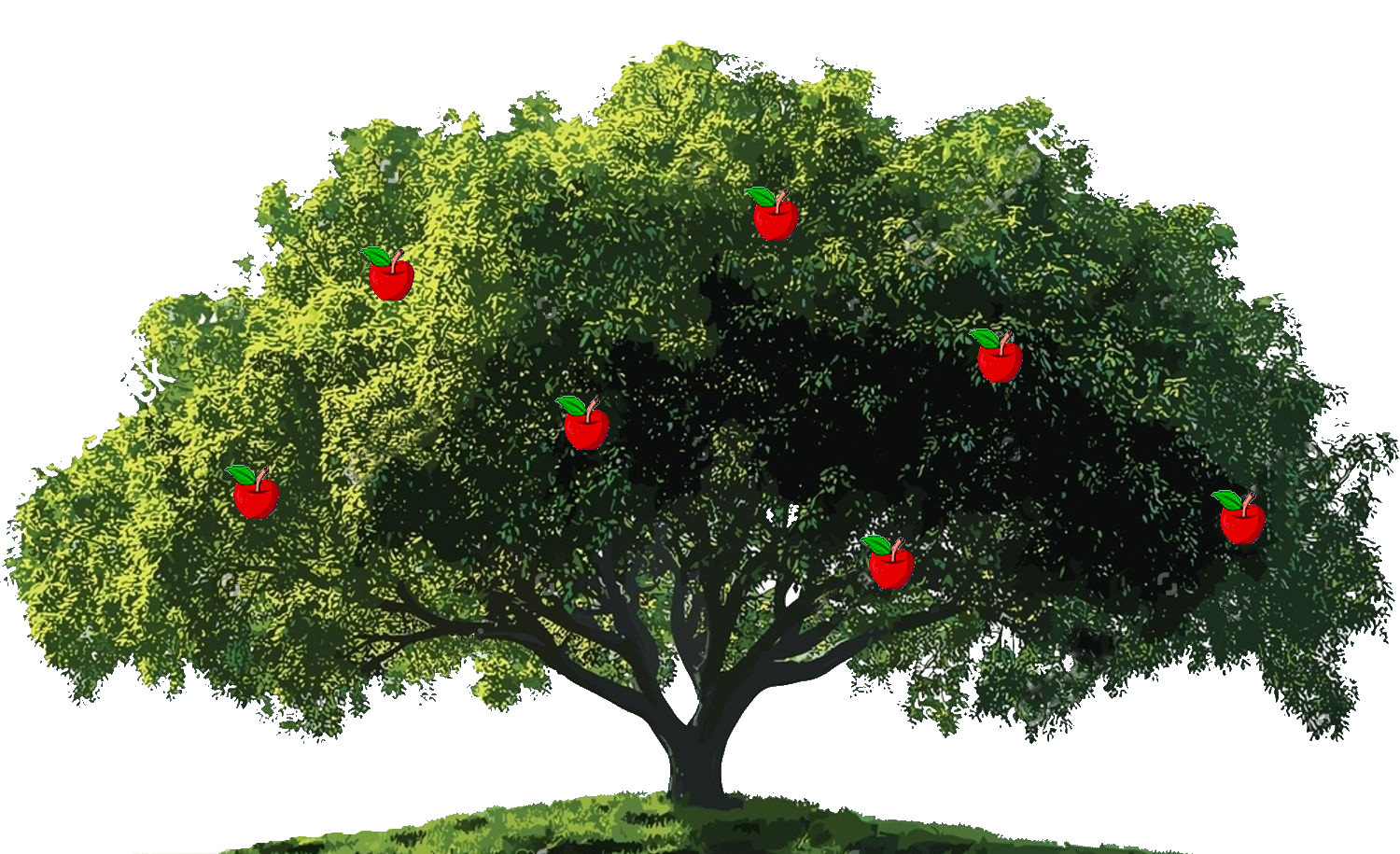 Foto del Árbol de Conocimientos